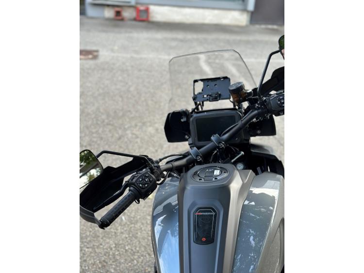 HARLEY-DAVIDSON ADVENTURE PAN AMERICA 1250 SPECIAL